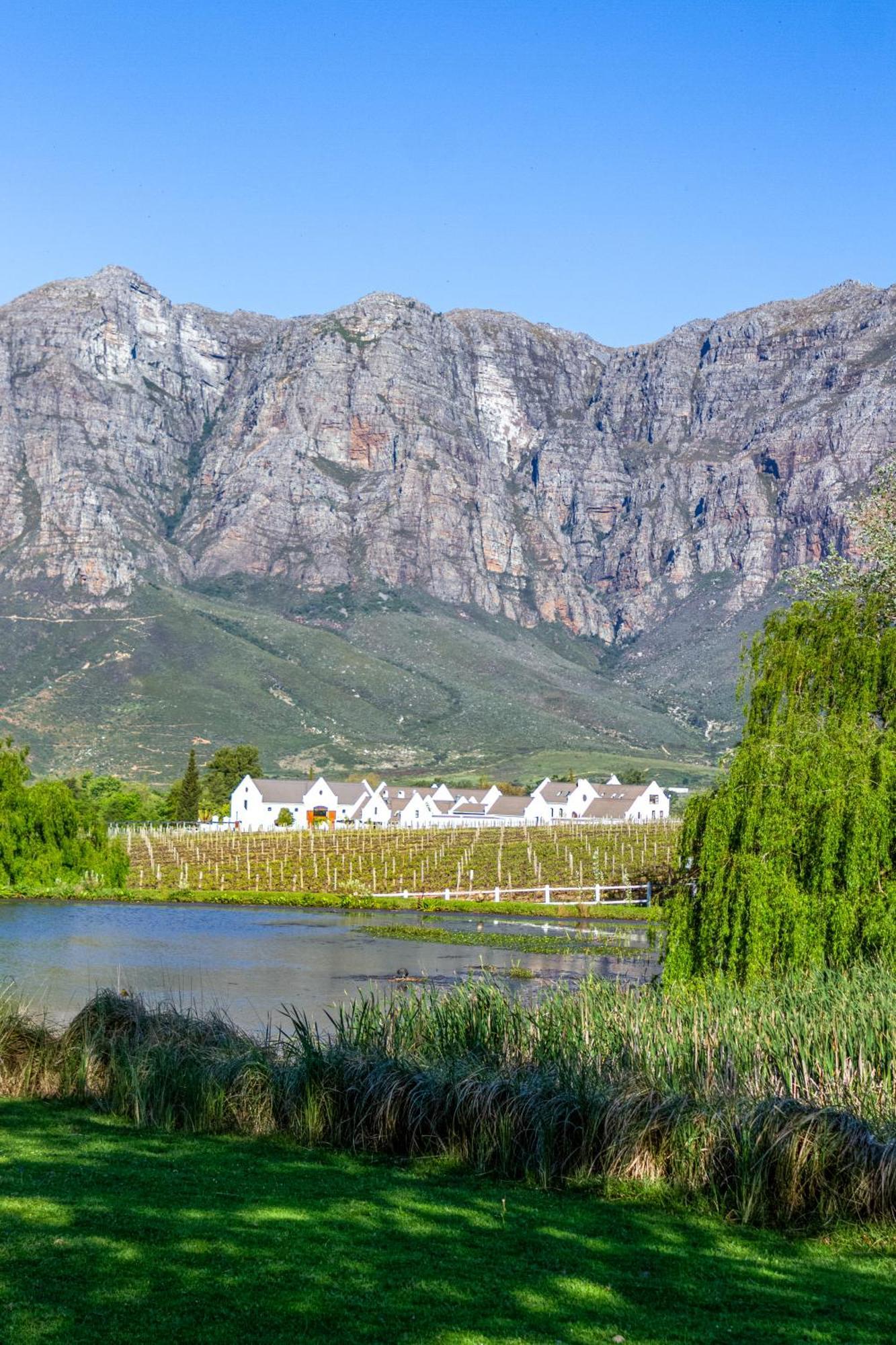 Zorgvliet Wines Country Lodge Стелленбос Экстерьер фото