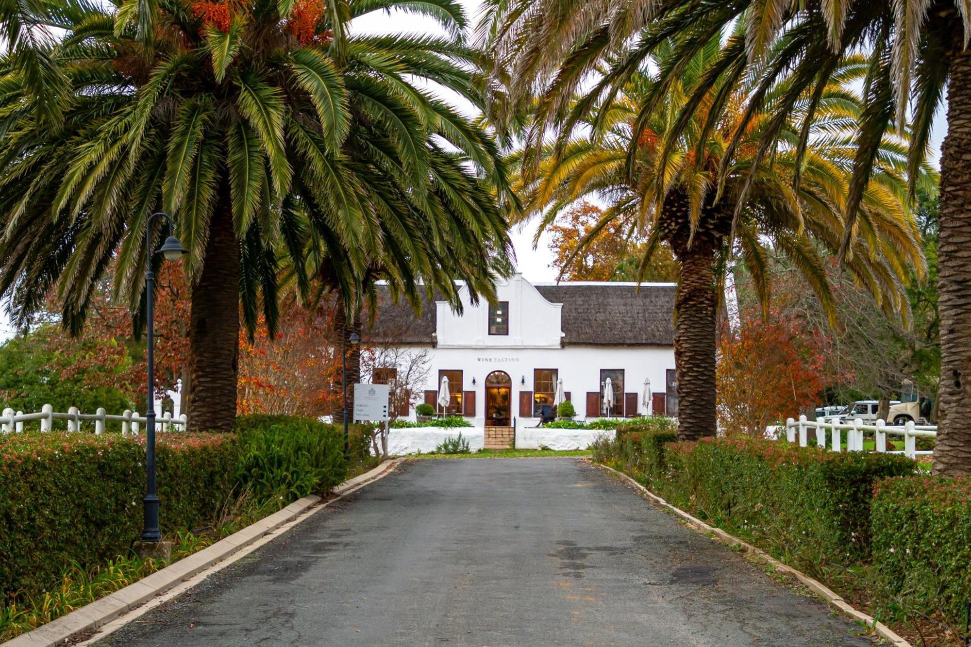 Zorgvliet Wines Country Lodge Стелленбос Экстерьер фото