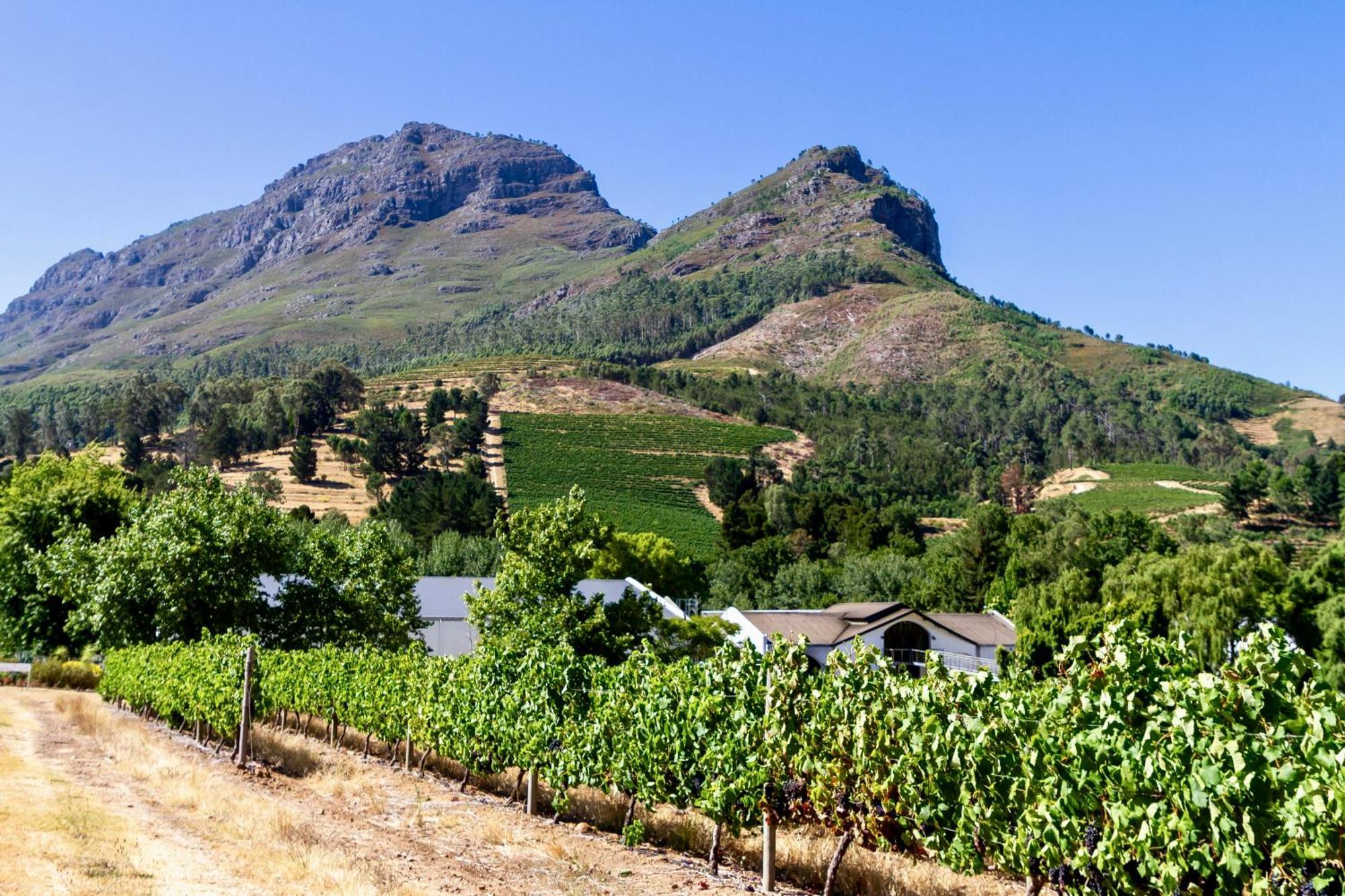 Zorgvliet Wines Country Lodge Стелленбос Экстерьер фото